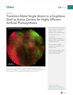 Transition-Metal Single Atoms in a Graphene Shell as Active Centers for Highly Efficient Artificial 