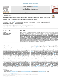 Ternary cobalt–iron sulfide as a robust electrocatalyst for water oxidation: A dual effect from surf