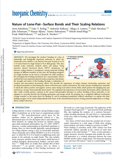 Nature of Lone-Pair–Surface Bonds and Their Scaling Relations