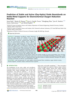 Prediction of Stable and Active (Oxy-Hydro) Oxide Nanoislands on Noble-Metal Supports for Electroche