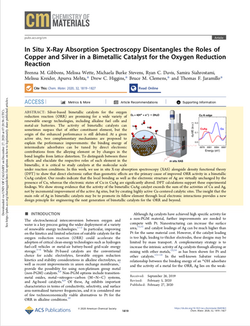 In Situ X‑Ray Absorption Spectroscopy Disentangles the Roles of Copper and Silver in a Bimetallic Ca