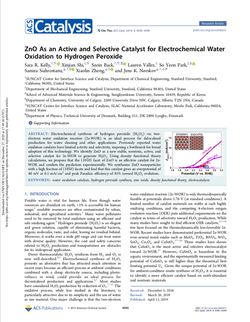 ZnO As an Active and Selective Catalyst for Electrochemical Water Oxidation to Hydrogen Peroxide