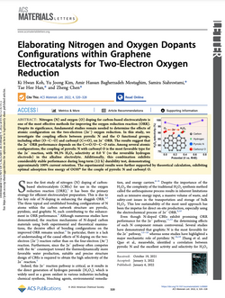 Elaborating Nitrogen and Oxygen Dopants Configurations within Graphene Electrocatalysts for Two-Elec