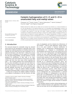 Catalytic hydrogenation of C=C and C=O in unsaturated fatty acid methyl esters