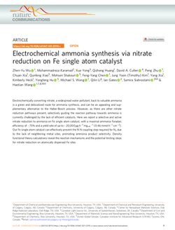 Electrochemical ammonia synthesis via nitrate reduction on Fe single atom catalyst